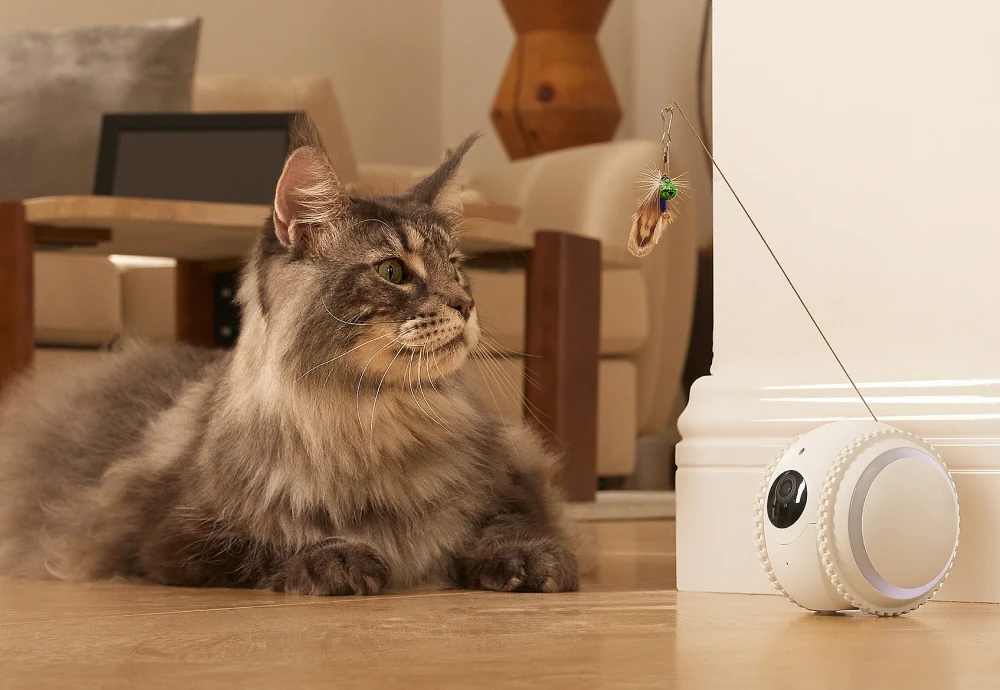 camera to watch pets while away