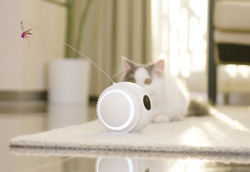 best home camera for pets