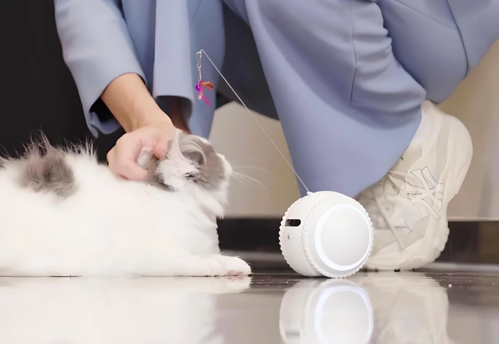 movable pet camera