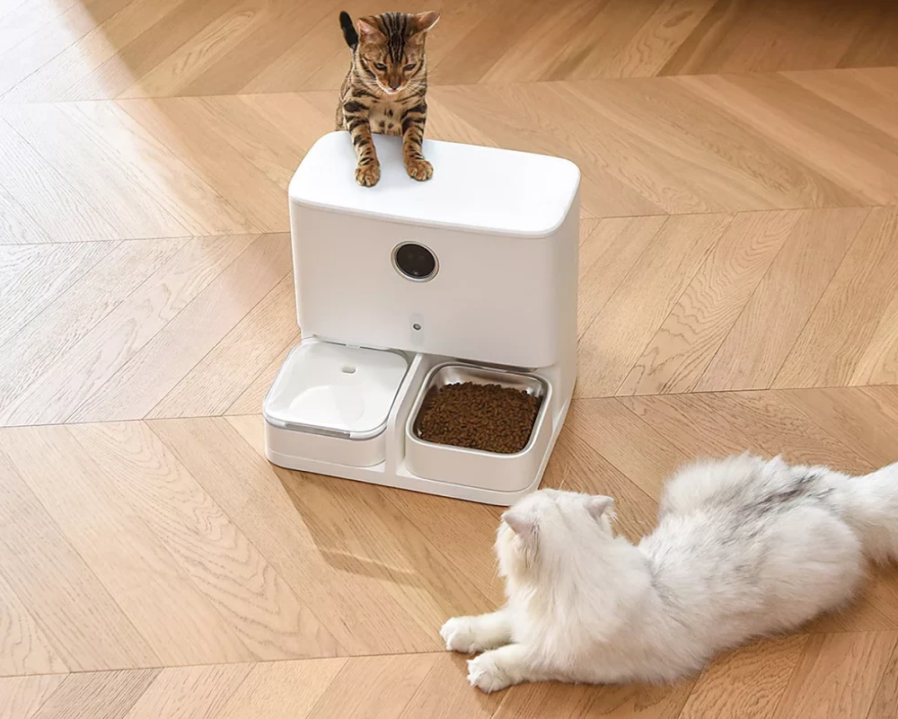 animal planet automatic pet feeder