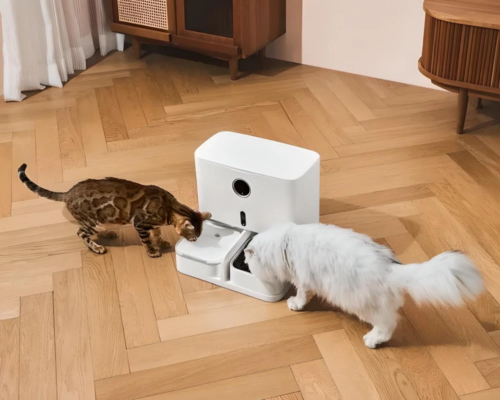 pet feeder with camera